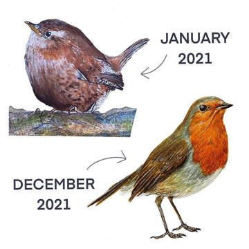 1 Year of Art: Our Community's Artistic Growth in 2021