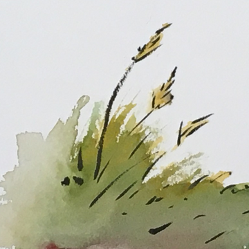 How to Use and Mix Green