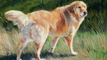 E02 :: Cindy Barillet & Going From Hobbyist to Pro Artist