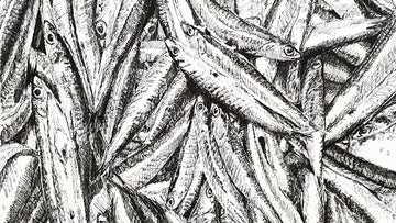 E36 :: David Morales & Finding Inspiration In the Ordinary