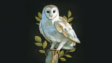 E42 :: Kaitlin Hoyt & Finding Your Creative Purpose