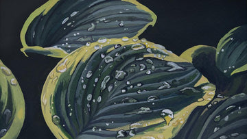 E60 :: Hannah Matcha & How Art Promotes Slow Living