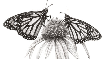 EP 128 :: Mike Hendley on Becoming a Better Artist