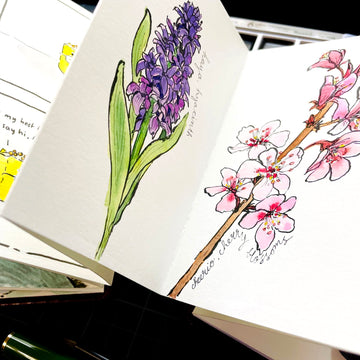 Ideas for the Accordion Sketchbook