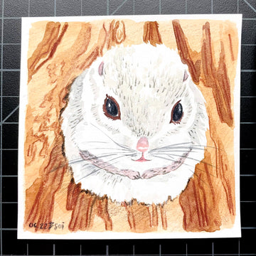 How Framing Affects a Painting