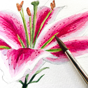 Create Floral Blooms with Watercolour