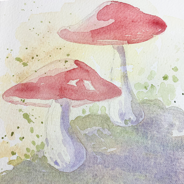 The Best Methods for Layering Watercolour